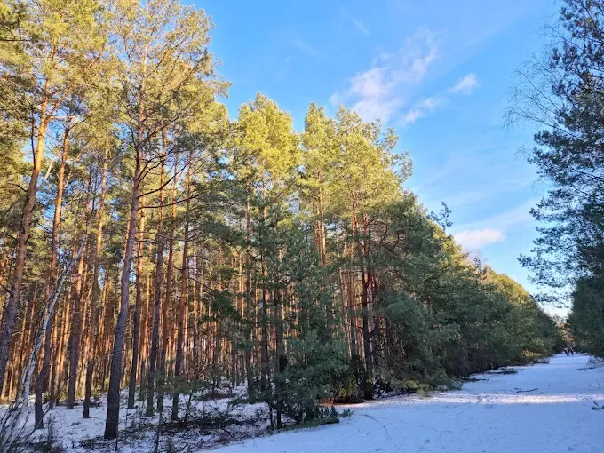 Rezerwat przyrody Na Torfach im. Janusza Kozłowskiego w Karczewie