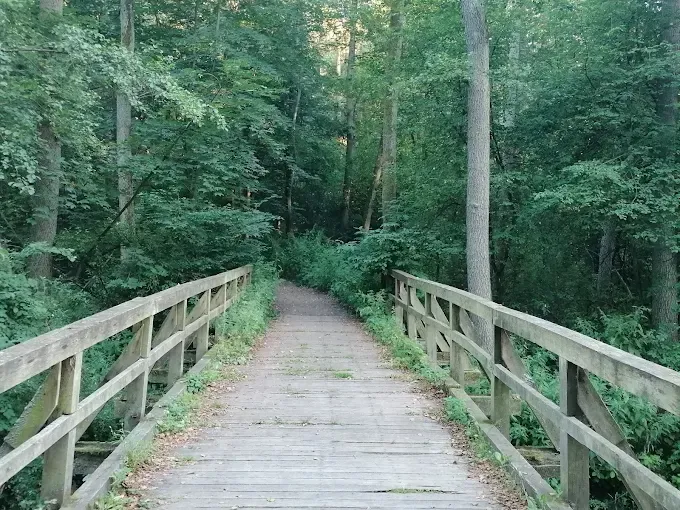 Rezerwat przyrody Sikórz