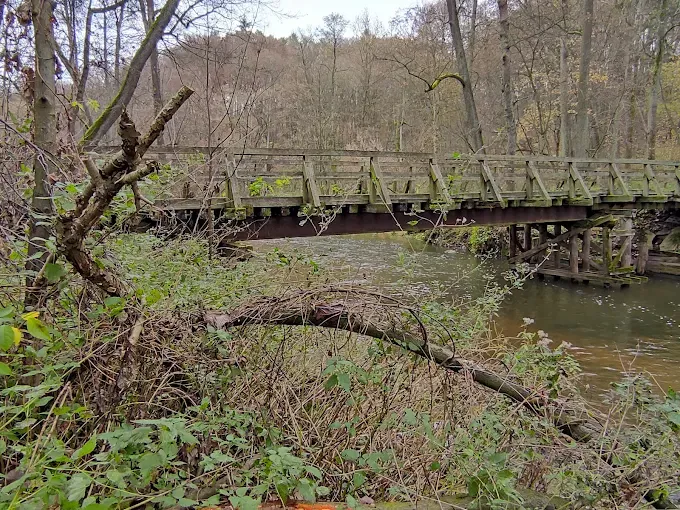 Rezerwat przyrody Sikórz