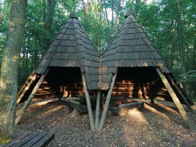 Rezerwat przyrody Sikórz