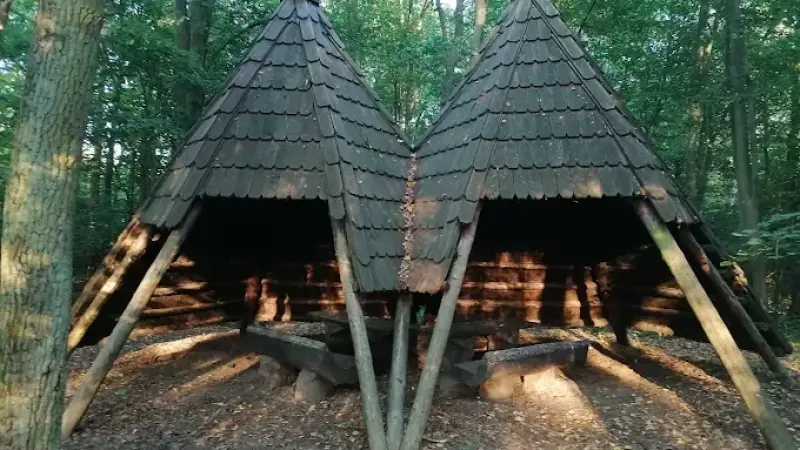 Rezerwat przyrody Sikórz