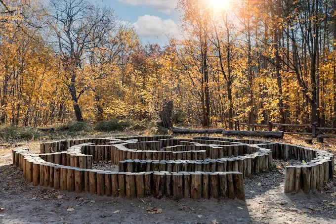 Rezerwat przyrody Las Bielański