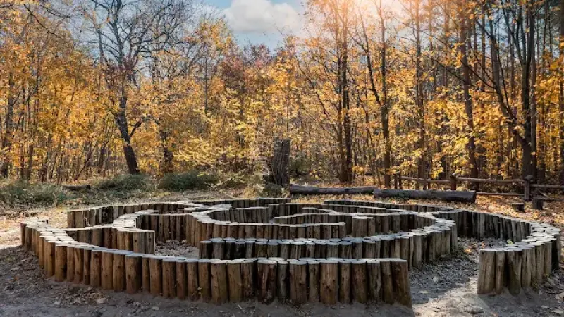 Rezerwat przyrody Las Bielański