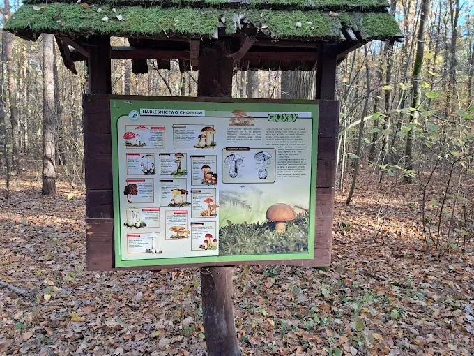 Chojnowski Park Krajobrazowy