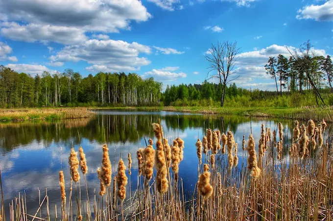 Bolimowski Park Krajobrazowy