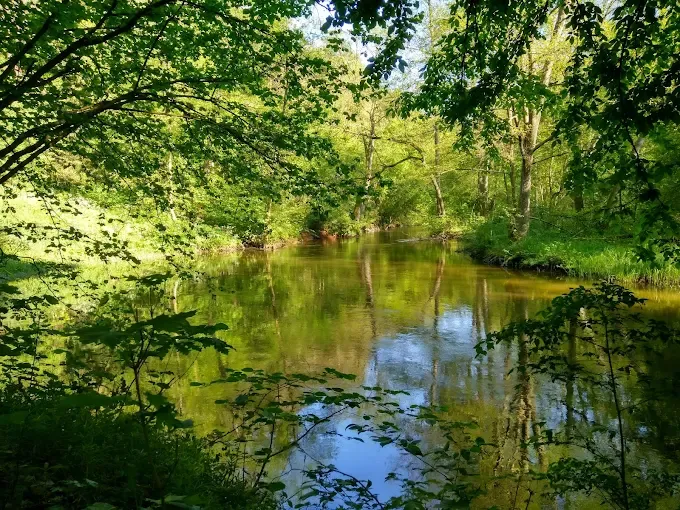 Welski Park Krajobrazowy