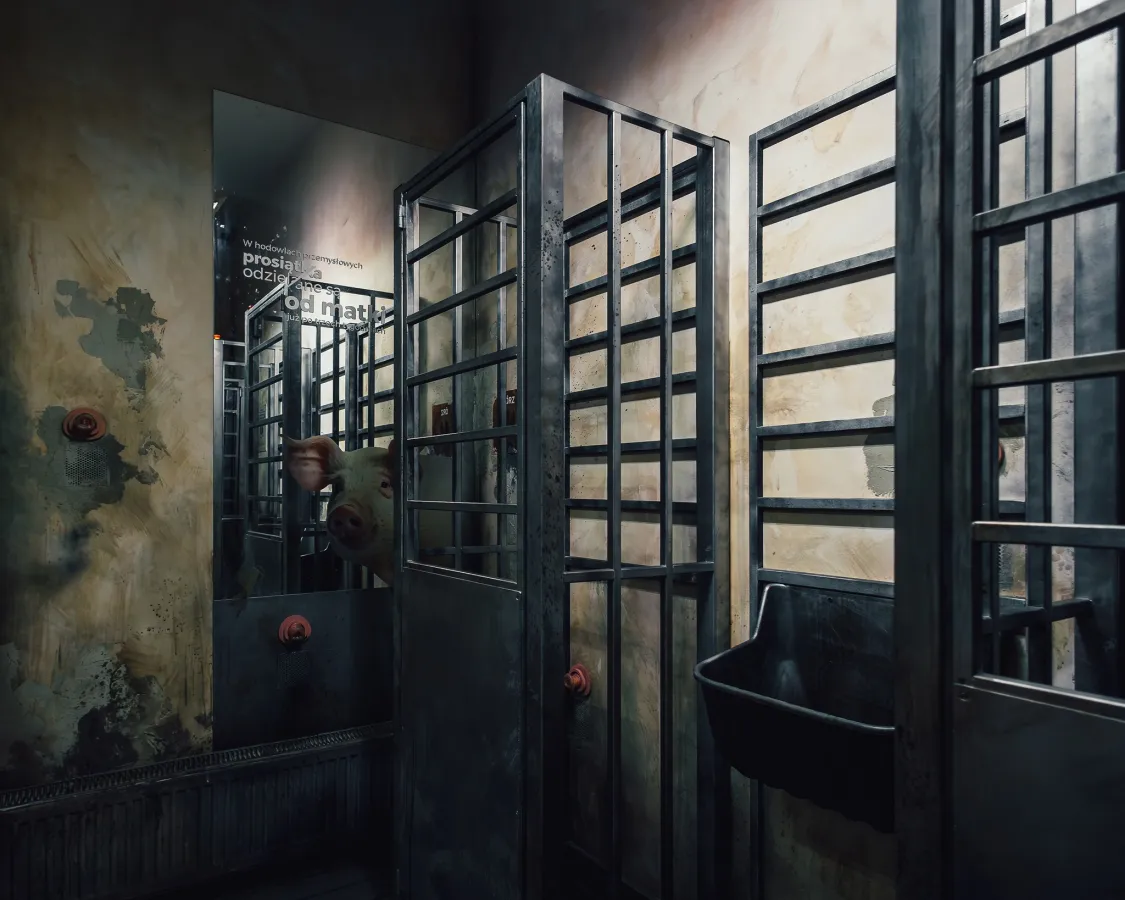 Mysterious Room Pokoje Zagadek