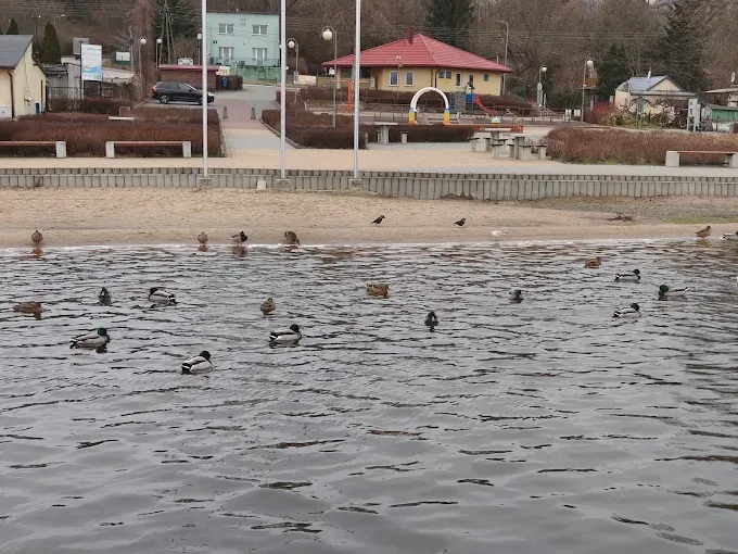 Plaża Miejska nad Narwią w Serocku