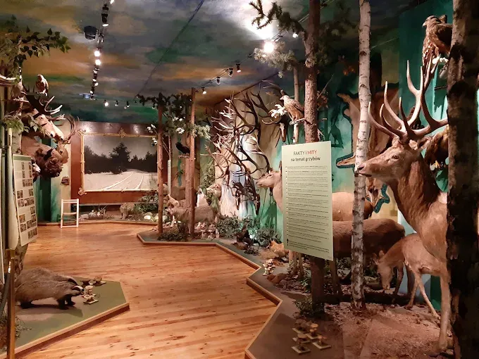 Muzeum Łowiectwa i Jeździectwa