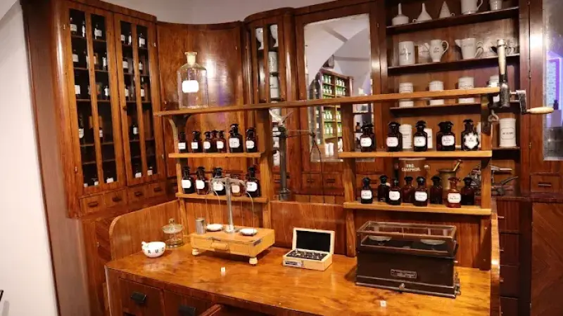 Muzeum Farmacji im. mgr Antoniny Leśniewskiej, Oddział Muzeum Warszawy