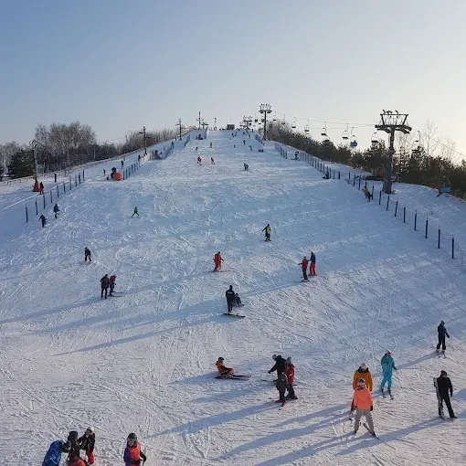 Park Szczęśliwicki