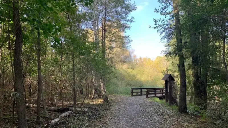 Las Bródnowski