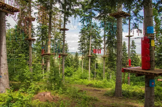 Park Linowy Ptaszkowa