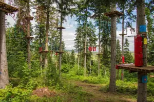 Park Linowy Ptaszkowa