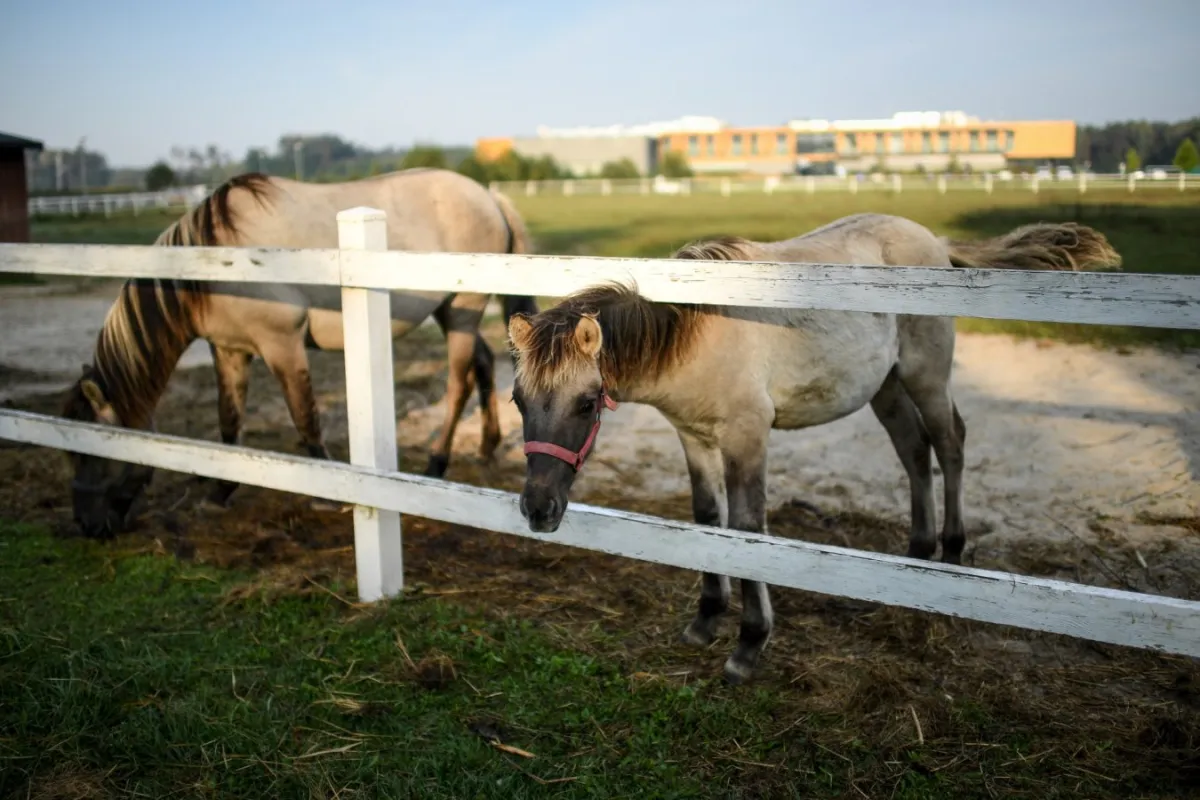 Hotel BoniFaCio SPA & Sport Resort