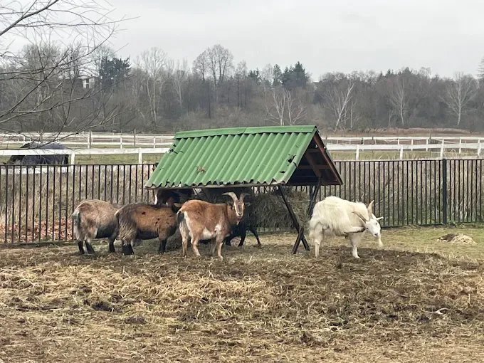 Hotel Sielanka nad Pilicą