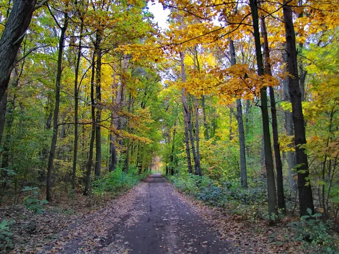 Mazowiecki Park Krajobrazowy