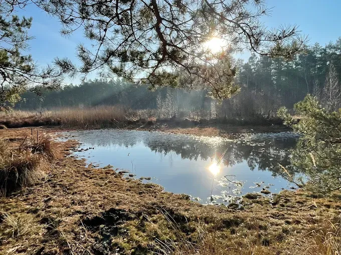 Mazowiecki Park Krajobrazowy
