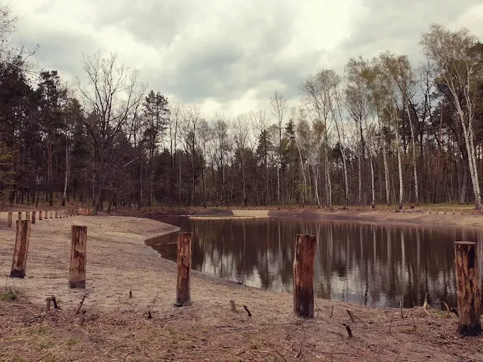 Mazowiecki Park Krajobrazowy