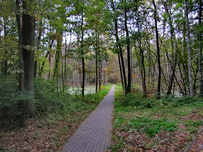 Mazowiecki Park Krajobrazowy