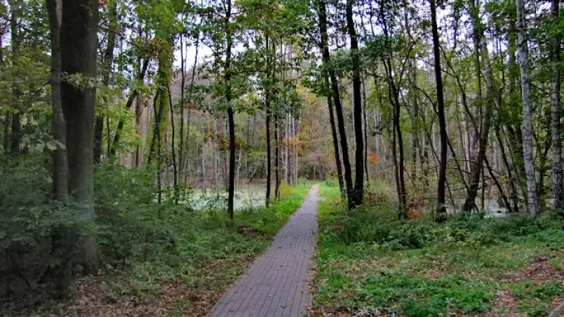 Mazowiecki Park Krajobrazowy