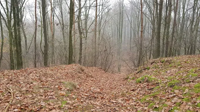 Góra Świętego Antoniego