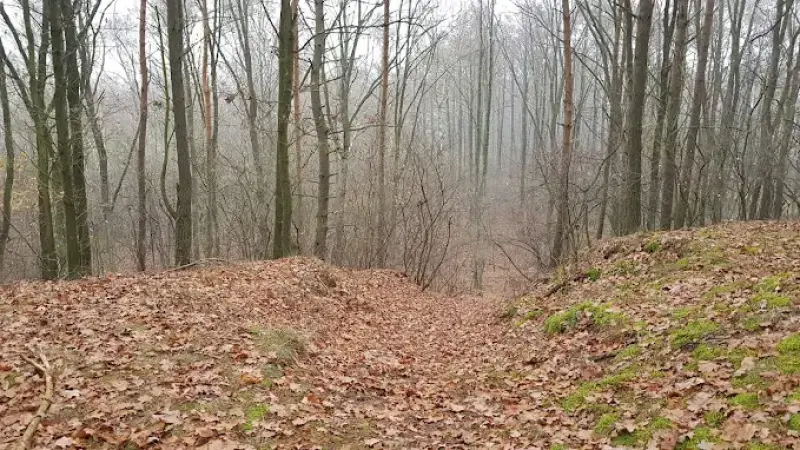 Góra Świętego Antoniego