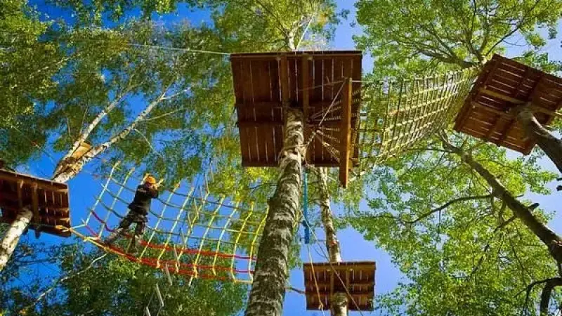 Park Bartbo