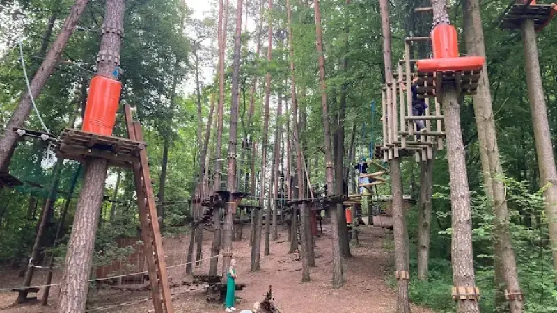 Park Linowy