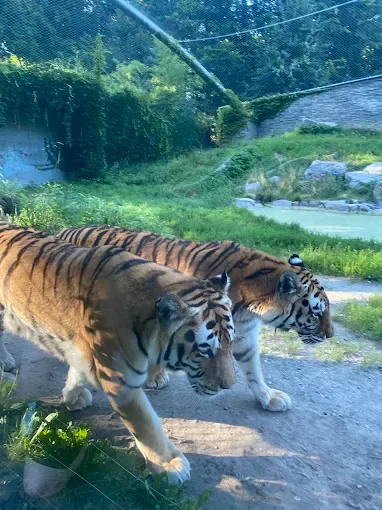 Ogród Zoologiczny w Krakowie