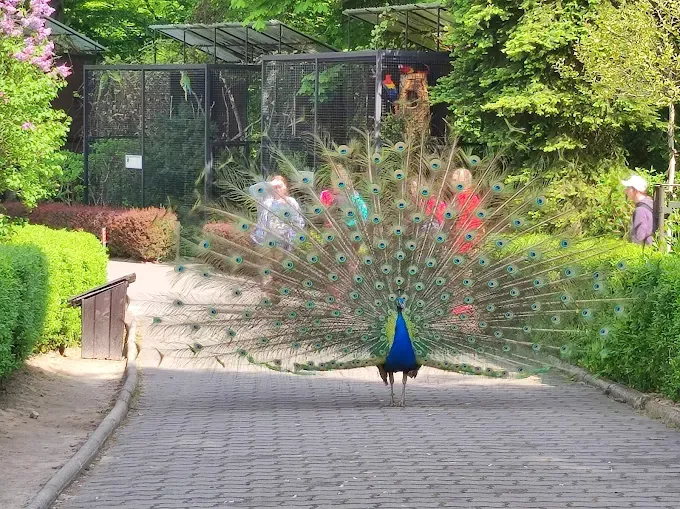 Ogród Zoologiczny w Krakowie