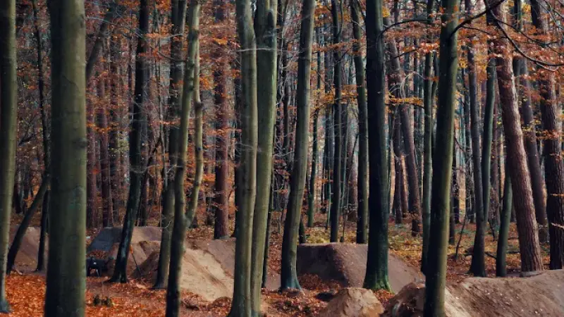 Bike Park Wąwóz Olsztyn