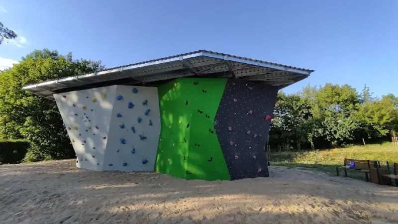 Boulderownia całoroczna