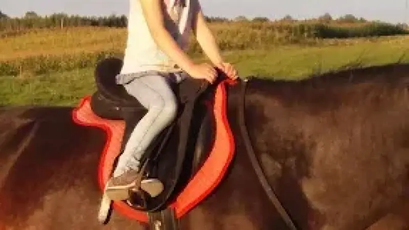 Hirlandia