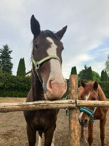 Stadnina Koni Kurki - TREC PTTK, Ośrodek Trecowy