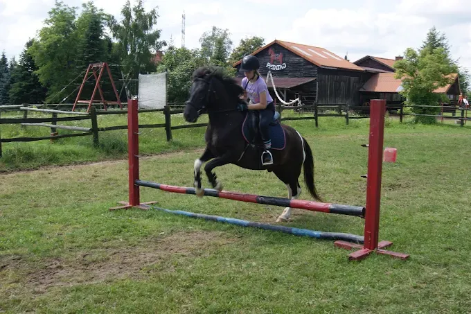 Patataj Agroturystyka - Stadnina Koni
