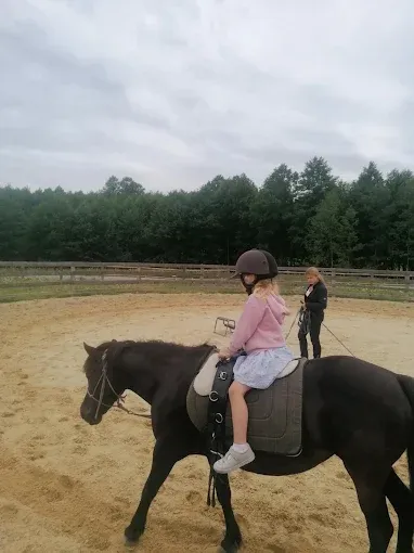 Stajnia Lipowo 45 -Agroturystyka-Pensjonat dla koni- hodowla koni islandzkich