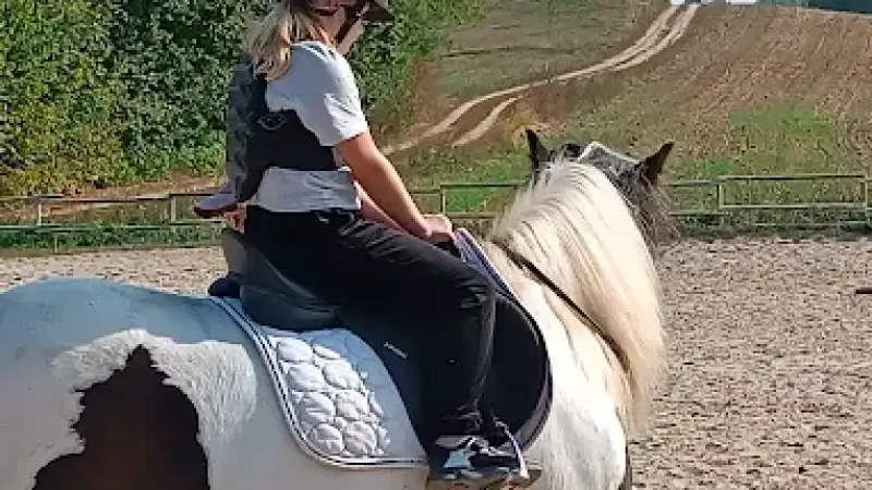 Stajnia Gajrowskie