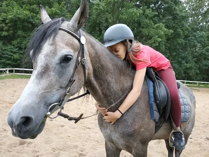 Stadnina koni "Klonek"