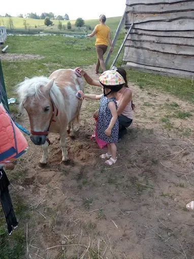 Stadnina koni "Klonek"