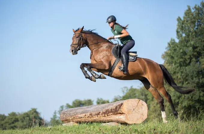 Stadnina Koni Galiny