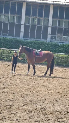 Ośrodek jeździecki