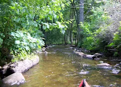 Zielony koń - Agroturystyka Mazury stadnina nad jeziorem