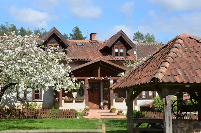 Zielony koń - Agroturystyka Mazury stadnina nad jeziorem