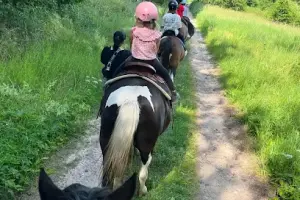 Huculskie Ranczo Maja Stadnina Koni