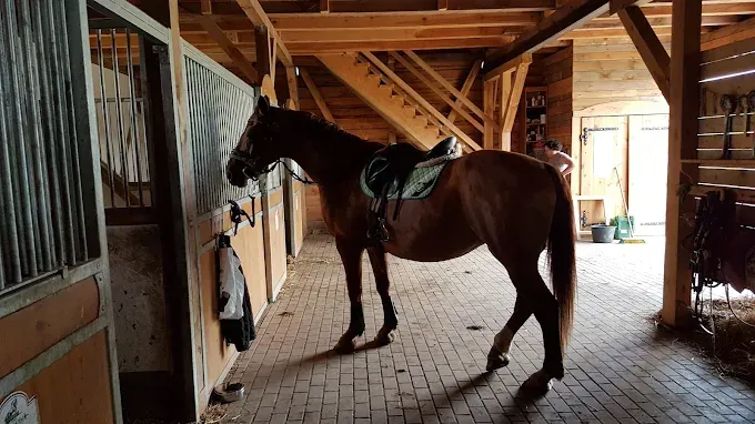 Stadnina Koni Stangretka Przybyłowo