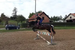 Stajnia Dągi, Nauka jazdy konno, jazdy indywidualne, wyjazdy w teren