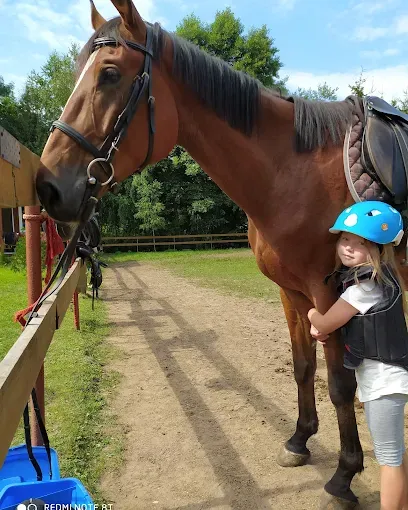 Ośrodek Jeździecki Amber