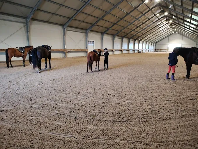 Stadnina Koni A.T. Gąsowscy