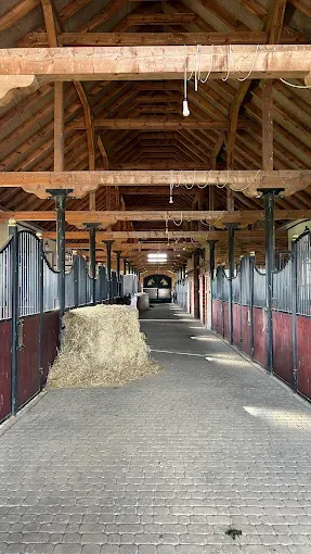 Stadnina Koni A.T. Gąsowscy